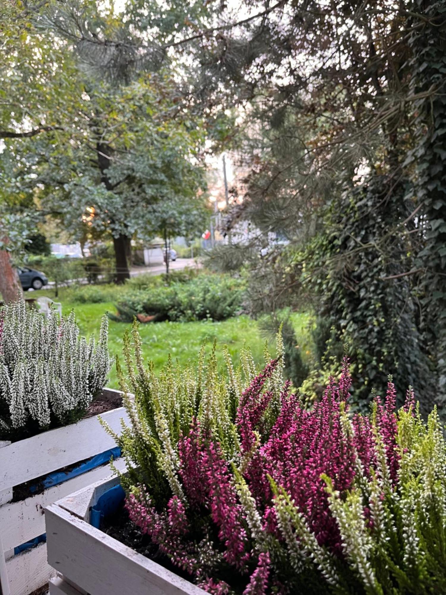 Apartment Greenthumb Praska Krakau
