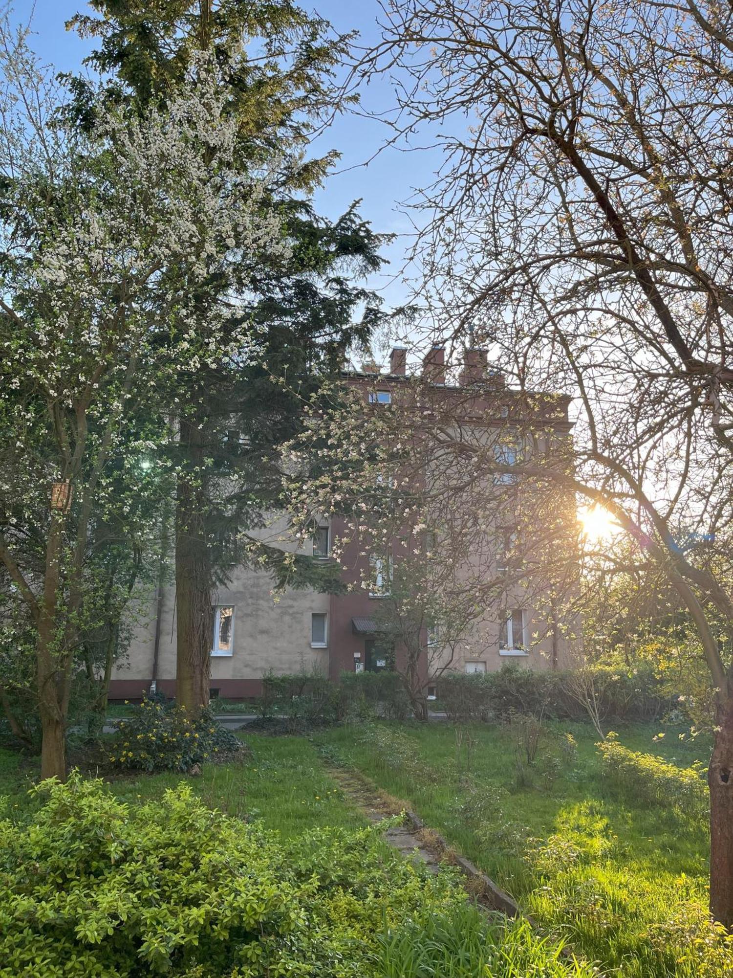 Apartament Greenthumb Praska Kraków